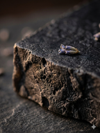 Lavender & Eucalyptus Charcoal Tallow Soap